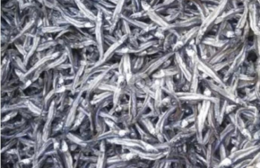 Fresh and Dried Sardines