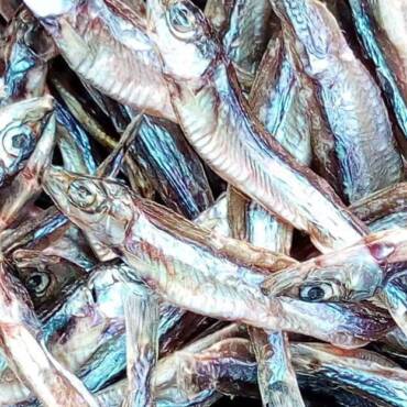 Dried Sardine